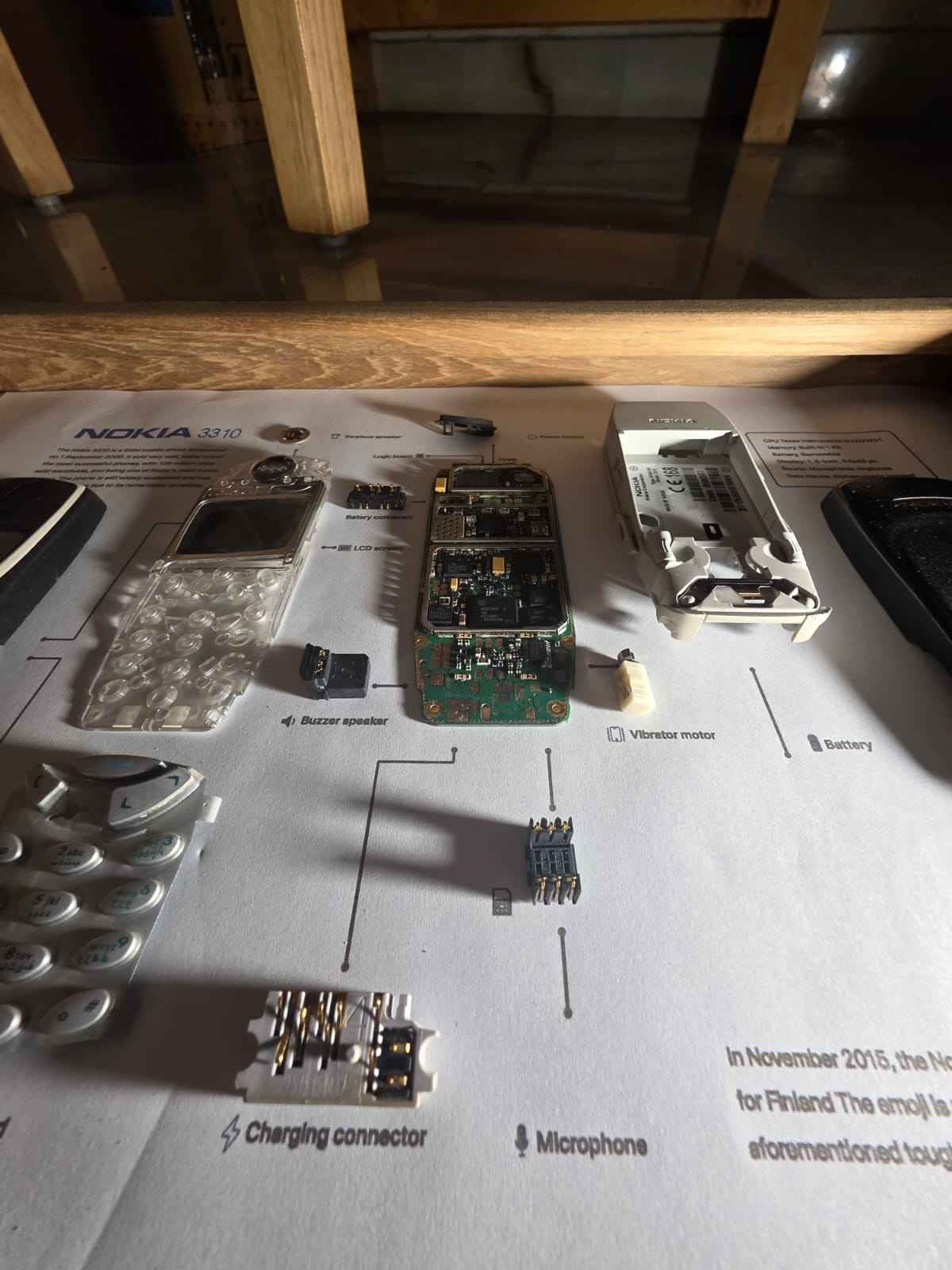 A disassembled Nokia 3310 phone with its components laid out on a labeled display board.